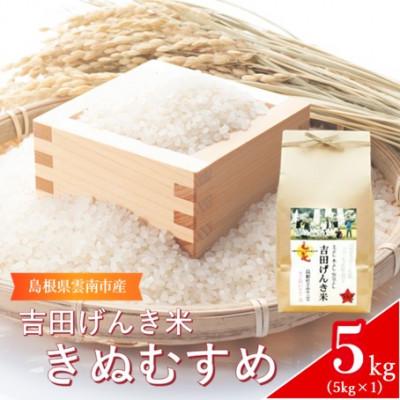ふるさと納税 雲南市 島根県雲南市産　吉田げんき米　きぬむすめ　5kg(5kg×1)