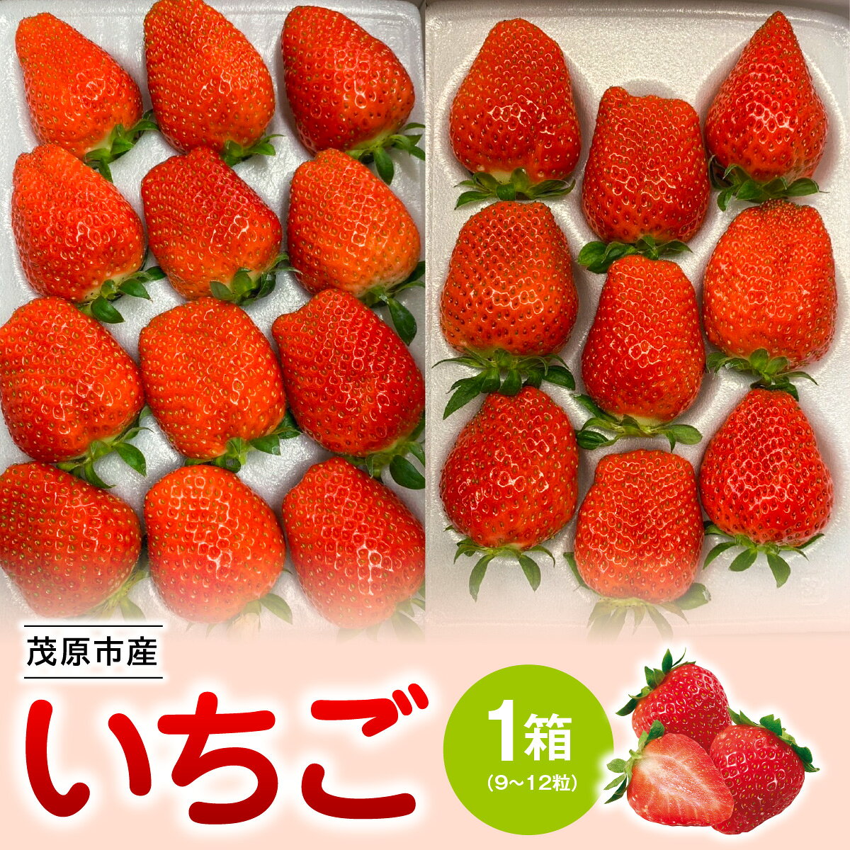 【ふるさと納税】いちご　1箱（9～12粒）【MBBM001】