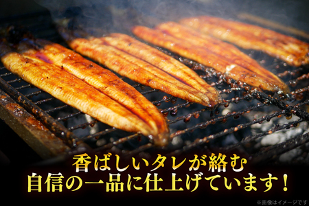 【定期便12回】 うなぎ 蒲焼 国産 特大 2尾 うなぎ