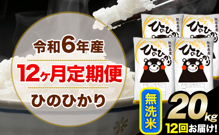 令和6年産【12ヶ月定期便】 無洗米 ひのひかり 20kg 5kg×4袋《お申込み翌月から出荷開始》熊本県産 単一原料米 南阿蘇村 ひのひかり 送料無料 熊本県 米 コメ こめ 国産---hn6tei_702000_20kg_mo12_mna_m---