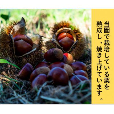 ふるさと納税 つくばみらい市 庄七農園限定　氷蔵熟成焼き和栗 (500g) |  | 01