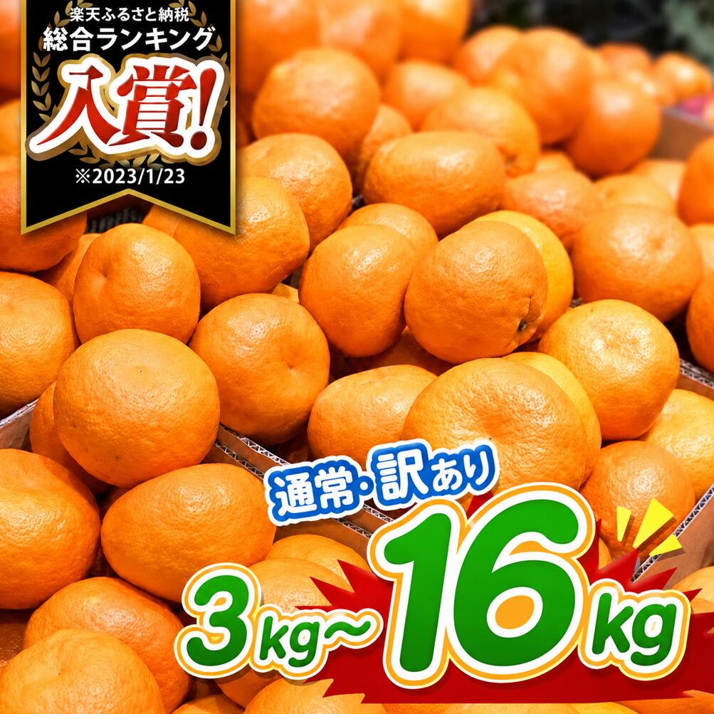 【ふるさと納税】温州みかん 3kg～16.8kg | 訳あり 糖度厳選 果物 くだもの フルーツ 柑橘 柑橘類 みかん 温州 家庭用 大量 みかん 玉名 熊本 送料無料 不揃い 傷 小玉 大玉 混合 自宅用 味采市場