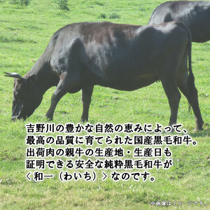 和一牛ステーキ用サーロイン2000g