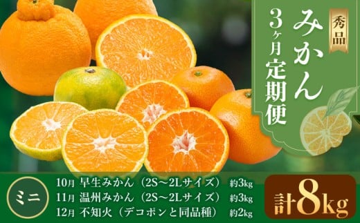秀品 みかん 3ヶ月定期便 【ミニ：計8kg】 日本フルーツ株式会社《10月出荷開始》熊本県 荒尾市  早生みかん 温州みかん 不知火 果物 フルーツ スイーツ デザート ギフト ご贈答