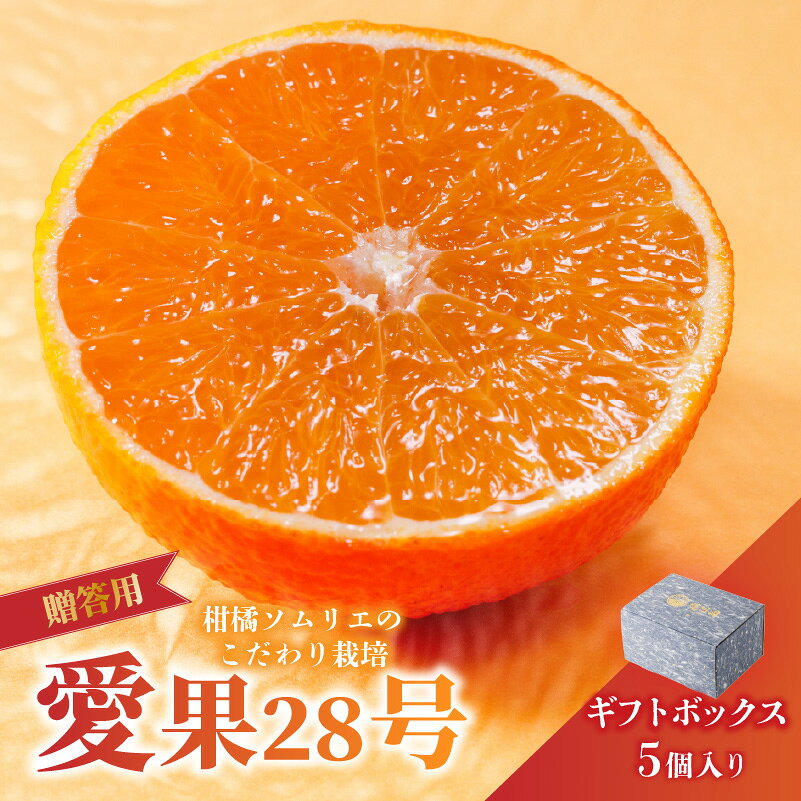 【ふるさと納税】 【11月中旬から発送】 愛果28号 (紅まどんな と同品種) ギフトボックス L～2Lサイズ 5玉 贈答 A品 秀品 | あいか 紅まどんな 紅マドンナ と 同品種 愛媛みかん みかん ミカン mikan お取り寄せ 産地直送 数量限定 人気 おすすめ 愛媛県 松山市 蓮果園