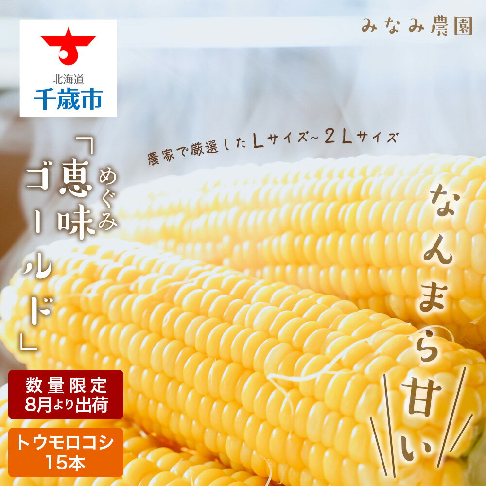 【ふるさと納税】なんまら甘くて食べやすい！2025年8月より出荷！「恵味ゴールド」15本セット恵味 ゴールド とうもろこし トウキビ 野菜 北海道 千歳 北海道ふるさと納税 千歳市 ふるさと納税【北海道千歳市】ギフト ふるさと納税