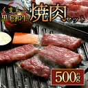 【ふるさと納税】くまもと黒毛和牛焼肉用500g お取り寄せ 冷凍 お土産 ギフト 贈答用 おつまみ 阿蘇牧場 熊本県 阿蘇市