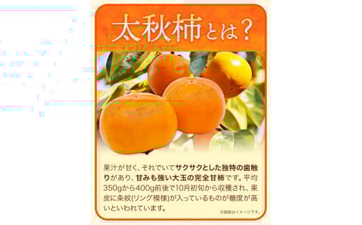  紀州根来の里 完全甘柿 太秋柿 6玉 約2.4kg 化粧箱入 おおひがし農園《10月上旬-11月中旬頃出荷》 和歌山県 岩出市 太秋柿 送料無料 柿 かき カキ 和歌山県産 果物 フルーツ