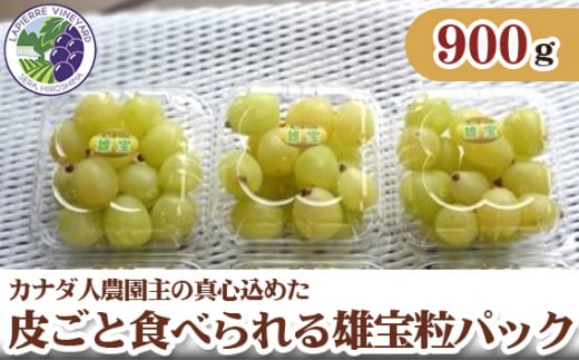 No.260 【カナダ人農園主の真心を込めた】皮ごと食べられる雄宝粒パック　約0.9kg ／ 葡萄 ブドウ 果物 フルーツ 広島県 特産品