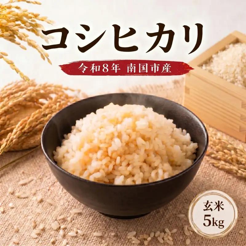 【スピード配送】玄米 5㎏ コシヒカリ 令和8年度 玄米