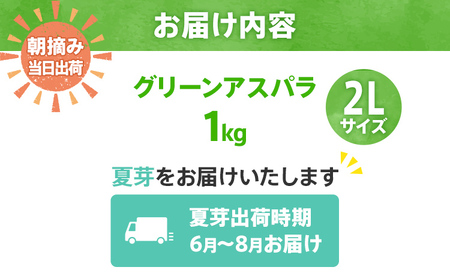【先行予約】　朝採り直送　夏芽グリーンアスパラガス（2L）１.2kg　BT06