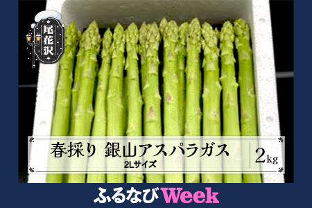 【ふるなびWEEK対象】春採り 銀山アスパラガス 2Lサイズ(極太) 2kg 令和8年産 nk-vga2x2-navi FN-Limited-WE