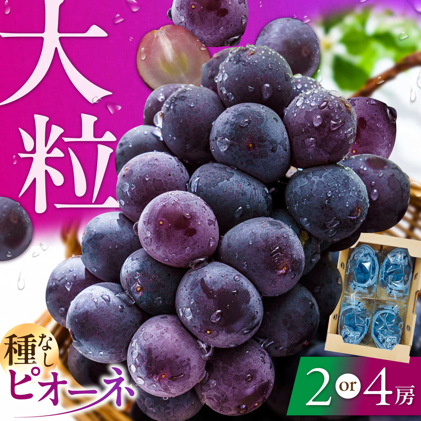 【ふるさと納税】【★先行予約★ 2026年7月中旬より発送】【選べる品種/パック数】ピオーネ / 巨峰 約700g～約1.4kg　広川町 / JAふくおか八女農産物直売所どろや[AFAB047]