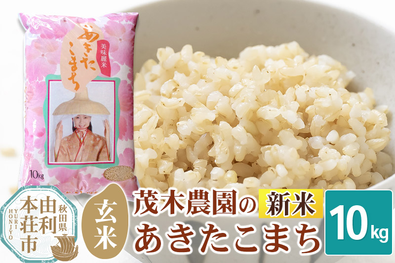 《令和7年産 新米》【玄米】10kg あきたこまち 秋田県産 茂木農園のあきたこまち 玄米 10kg