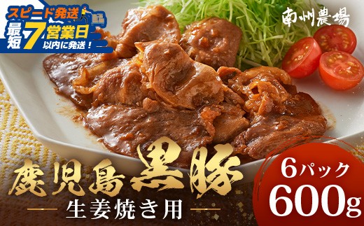 鹿児島県産 黒豚生姜焼きセット（100g×6パック）味付き肉 冷凍 NS-22 | 鹿児島 黒豚 かごしま黒豚 お肉 肉 豚肉 しょうが焼き 焼くだけ 味付き おかず お弁当 加工肉 真空パック 鹿児島県 南大隅町 南州農場