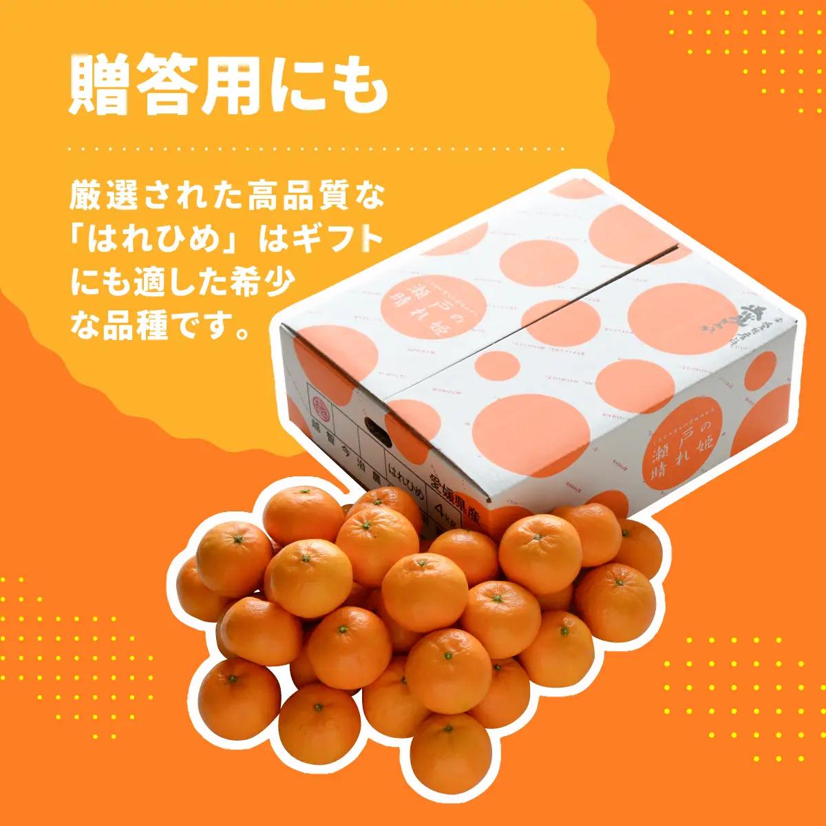 みかん 【先行受付】瀬戸の晴れ姫　2L～Sサイズ　4kg(25～60玉)　愛媛県