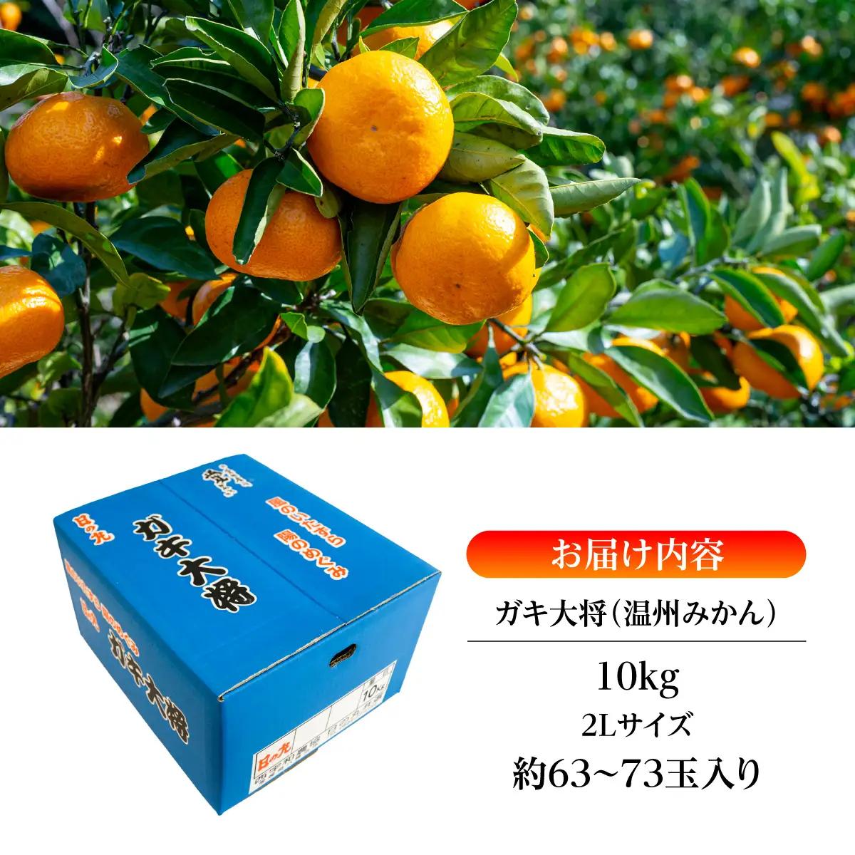 【先行受付】果汁しっかり自然の恵み!「ガキ大将」10kg(大玉サイズ)日の丸みかん/ご家庭用【D79-13】【1452036】YWTC013