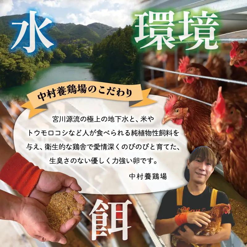 新鮮たまご 赤玉 Lサイズ 50個 中村養鶏場 ny3