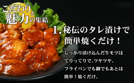 【小分け】 【秘伝のタレ付】 牛 もつ セット 10 人前｜小分け 6袋 計1.5kg 国産 味噌 もつ鍋 焼肉 時短 簡単 小腸 国産牛 パーティー 冬 ホルモン おつまみ 真空 冷凍 大ぶり 簡単