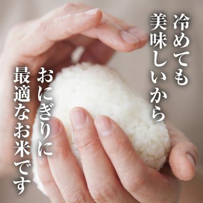 ふるさと納税 十日町市 魚沼産 こしひかり 5kg 精米 新潟県十日町市 |  | 03