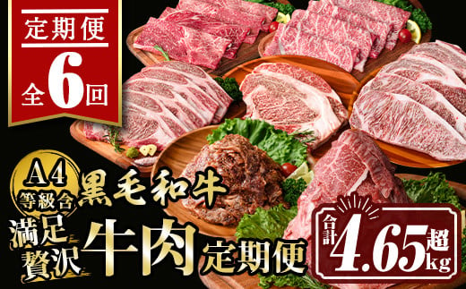 isa513 【定期便６回】満足贅沢 牛肉定期便(合計4.65kg超) 肉 牛肉 霜降り すきやき しゃぶしゃぶ 牛しゃぶ サーロイン リブロース ステーキ 冷凍 ロース カタロース 肩ロース BBQ アウトドア【サンキョーミート株式会社】