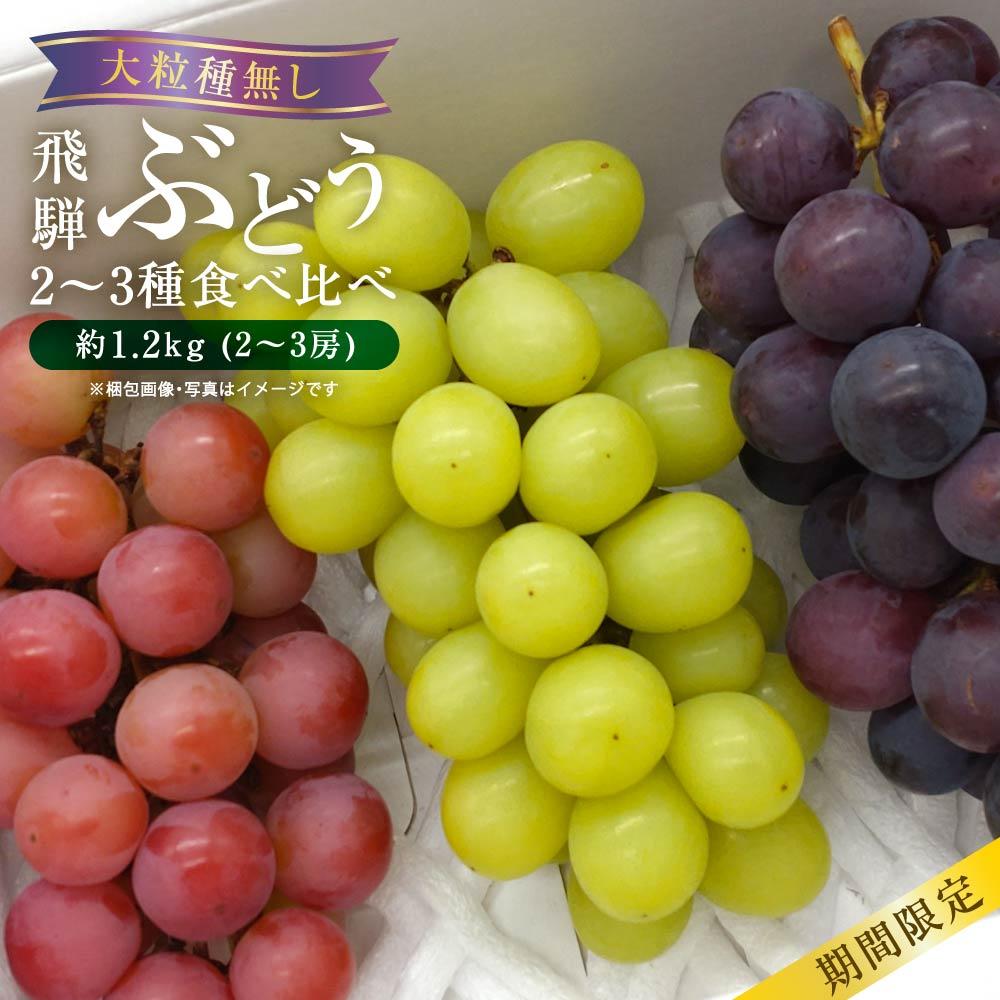 【ふるさと納税】【先行予約】山本果樹園 季節の大粒種無しぶどう 詰め合わせ 約1.2kg（2房～3房）| 9月中旬～順次発送 果物 フルーツ おいしい ぶどう 種なし 飛騨高山 山本果樹園 MA001