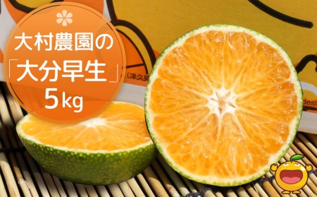 大村農園の極早生みかん おおいた早生 5kg おおいた早生 みかん ミカン オレンジ 柑橘類 大分県産 九州産 津久見市 国産