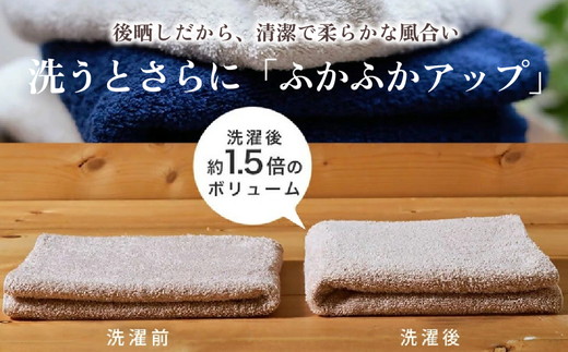 吸水力と肌触りが自慢のデイリーユースフェイスタオル 9枚 [4784]