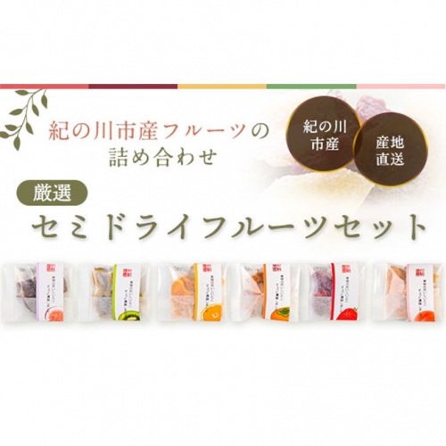 厳選セミドライフルーツセット 丸駒農園ゆらり 《90日以内に出荷予定(土日祝除く)》 和歌山県 紀の川市