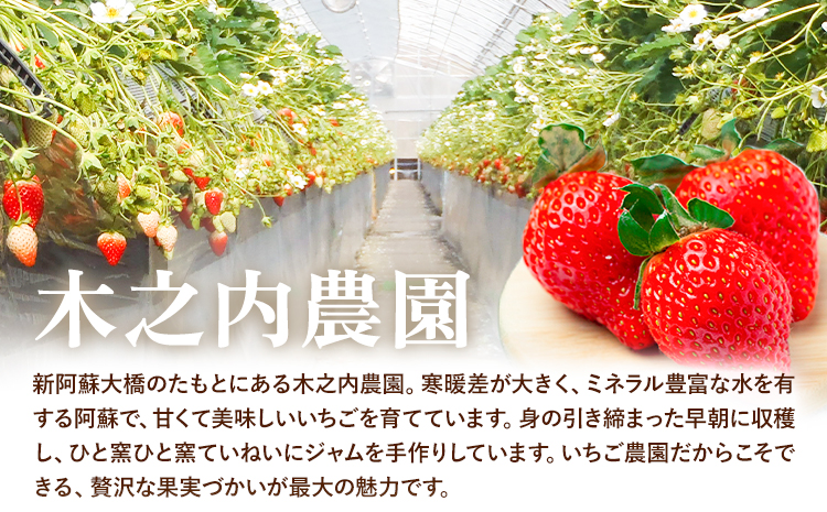 果実ぎっしり！木之内農園の手作りいちごジャム 2kg《30日以内に出荷予定(土日祝除く)》いちご ---isms_kinonsb_30d_24_16000_2kg---