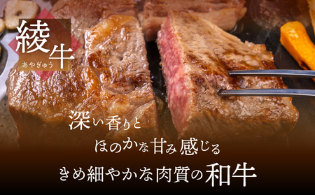 A4A5等級 黒毛和牛 霜降り 綾牛ロースステーキ（200ｇ）とろける 赤身 お肉 焼肉 BBQ_A0013-013