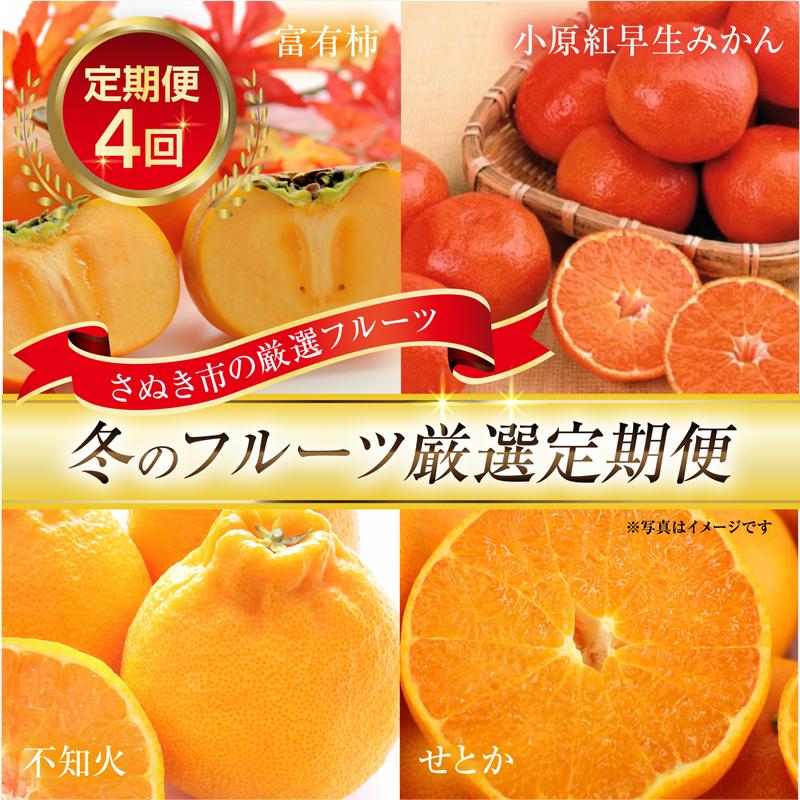 【ふるさと納税】【定期便全4回】さぬき市冬のフルーツ厳選定期便 柿 みかん 不知火【旬 人気 果物 くだもの フルーツ 香川県】