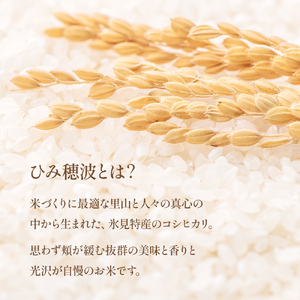 【5ヶ月定期便】 令和6年産 富山県産 コシヒカリ 《ひみ穂波》 5kg 富山県 氷見市 こしひかり 5kg  合計 25kg お届け