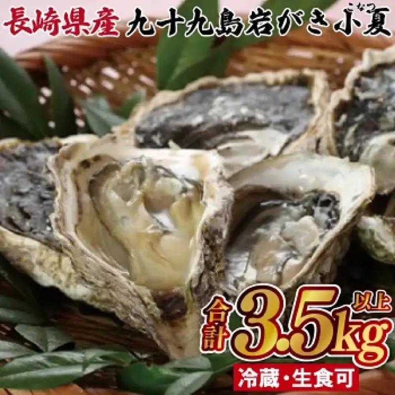 かき 【九十九島 岩牡蠣】 かき 3.5kg （小夏） A165