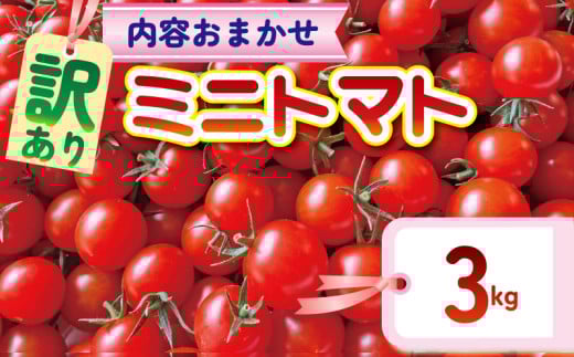 【訳あり】 品種おまかせ ミニトマト (2種以上) 3kg とまと トマト ミニトマト みにとまと 完熟 期間限定 冷蔵 常温 プチ プチトマト 野菜 サラダ 産地直送 新鮮 国産 千葉県産 美容 健康 厳選 おまかせ お楽しみ セット ランダム 千葉県 旭市 Sai10faRM stf003
