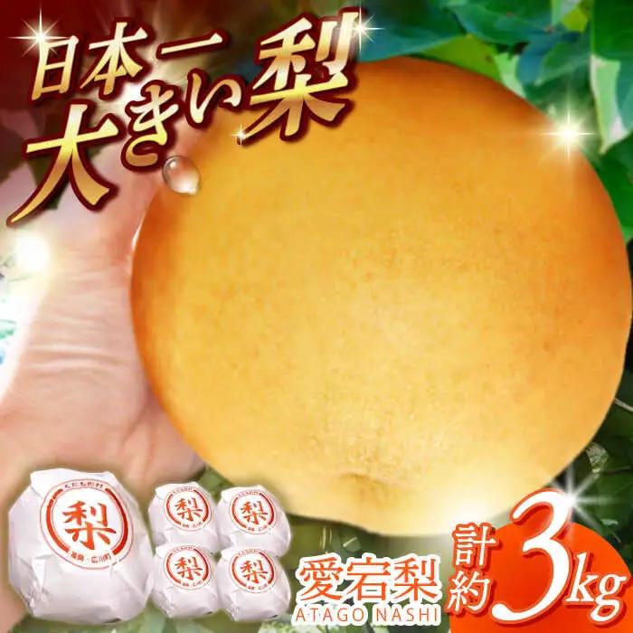 【12月上旬発送開始】愛宕梨 約3kg (3玉-5玉) / 梨 なし ナシ フルーツ[AFAR025]