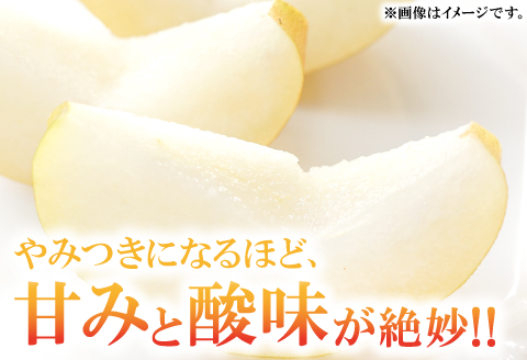 A-681 訳あり梨 5kg（規格外・家庭用）