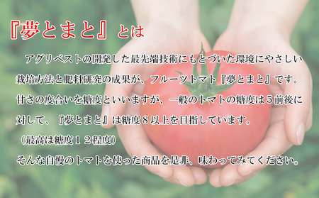 トマトジュース 8本 糖度8以上 フルーツトマト 夢とまと パスタソース カレー 阿波市 徳島県