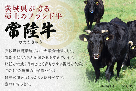 【ふるなびWEEK対象】牛肉 切り落とし 1kg 常陸牛 A71-003
