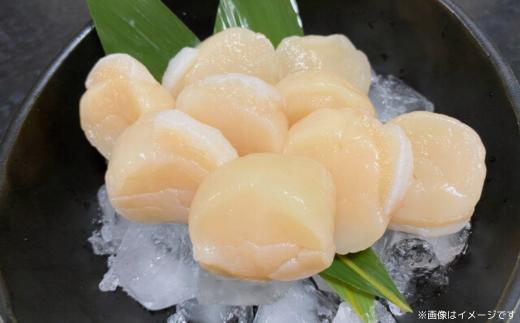 北海道オホーツク産 冷凍帆立貝柱 31玉～40玉 500g×2【 ふるさと納税 人気 おすすめ ランキング ホタテ ほたて 帆立 貝柱 ホタテ貝柱 ほたて貝柱 帆立貝柱 刺身 ホタテ刺身 刺身ホタテ 