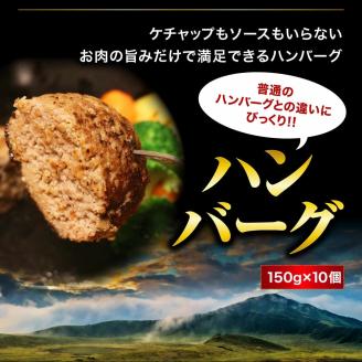 あか牛を堪能できるステーキとハンバーグセット計2kg ブランド牛 あか牛 和牛 国産 牛肉 ステーキ ハンバーグ 2kg 人気 ヘルシー セット 食べ比べ バラエティ 熊本 阿蘇 希少 希少部位