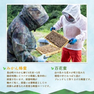 ふるさと納税 基山町 みよしのみつ(百花蜜・みかん)220g×2本 |  | 02