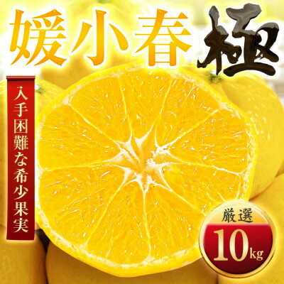 【ふるさと納税】【太陽をたっぷり浴びた】媛小春(ひめこはる)【極】10kg【H49-101】【1623962】