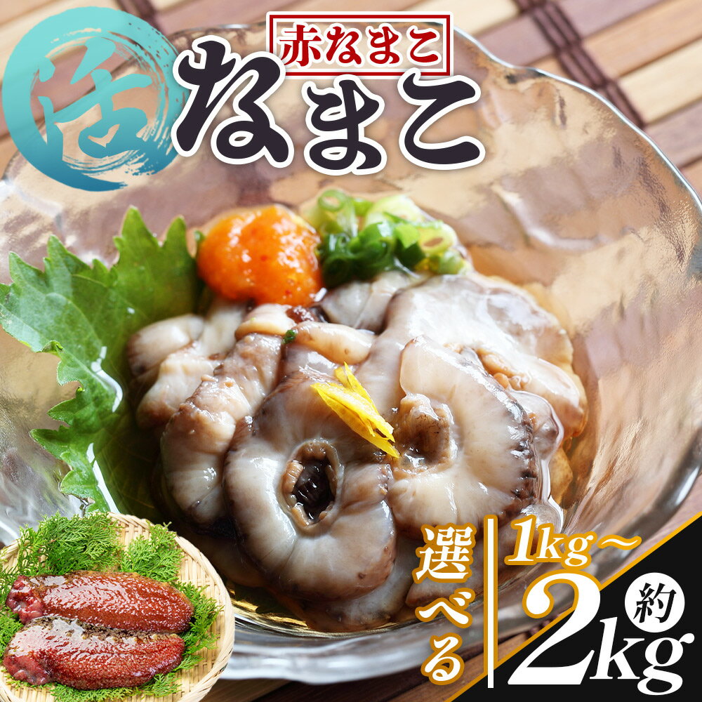【ふるさと納税】活ナマコ 赤ナマコ（選べる内容量：計約1kg～約2kg） - 選べる 数量 国産 産地直送 赤なまこ なまこ ナマコ 海鼠 海産物 海鮮 魚介類 刺身 刺し身 炒め物 塩辛 このわた えび蔵 高知県 香南市【冷蔵】