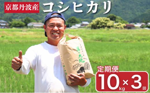 [№5334-0774]定期便 令和7年産 京都丹波産 コシヒカリ 10kg　3回