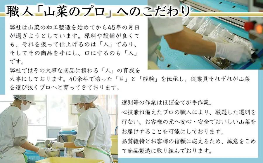 B01-451　国産山菜水煮セット　大
