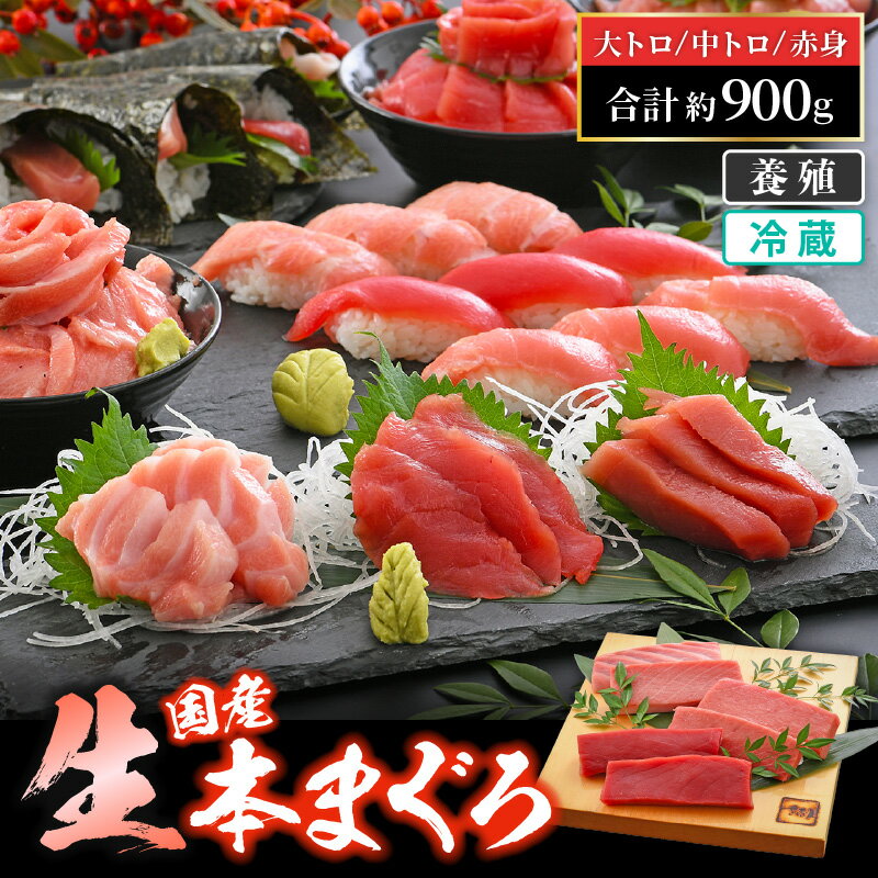 【ふるさと納税】国産 生本マグロ まぐろ三昧セット 合計約900g「大トロ・中トロ・赤身」各約300g（2〜3柵）【本まぐろ クロマグロ ホンマグロ 鮪 大とろ 中とろ 冷蔵 お取り寄せ グルメ】 [e04-e005]