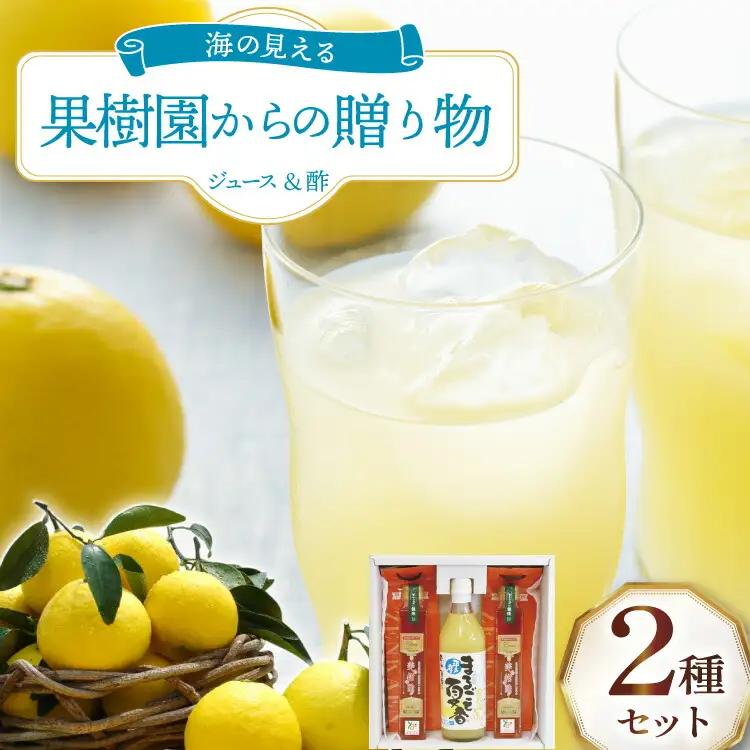 果物 オレンジ 果樹園からの贈り物 2種 セット