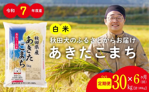 【定期便6ヶ月】秋田県産あきたこまち(白米)30kg　/ 米 30kg 白米 令和7年産 秋田県産 あきたこまち 5kg×6袋 おにぎり 大館 東北 秋田 小分け こわけ 大館市 30キロ 30ｷﾛ 30きろ