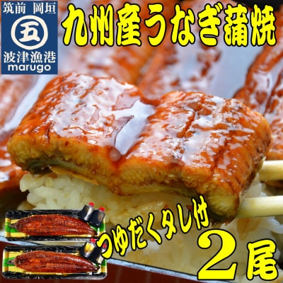 九州産うなぎ蒲焼2尾　秘伝つゆだくタレ付　老舗鮮魚店の味(岡垣町)【配送不可地域：離島】